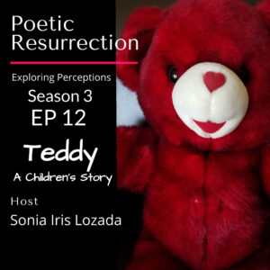 Teddy - A Children's Story